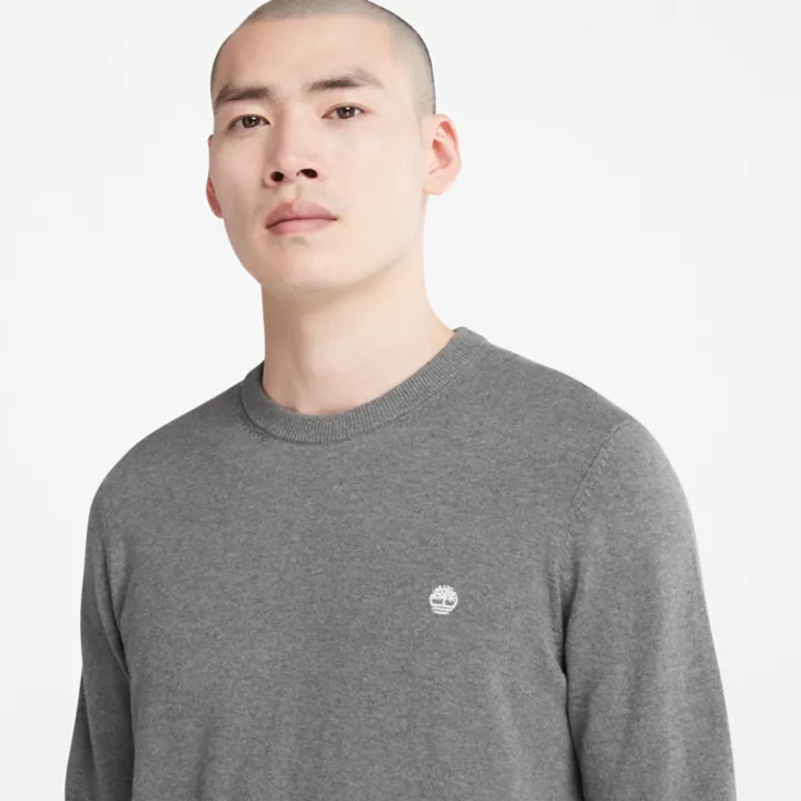 Williams River Crewneck Jumper for Men in Dark Grey