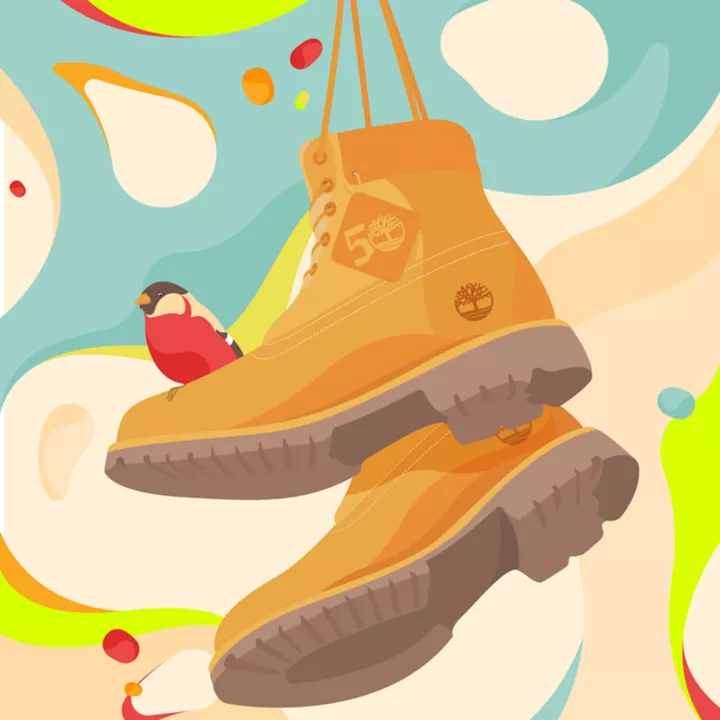 Timberland 50th Edition Premium 6-Inch Waterproof Boot for Men in Orange