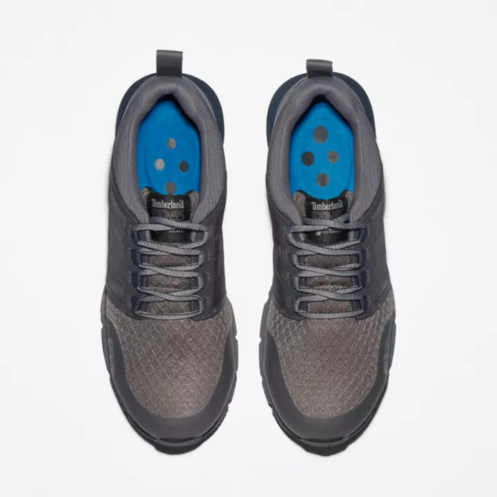 Radius Alloy-Toe Work Shoe for Men in Grey and Blue