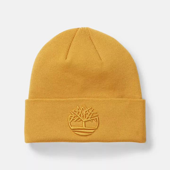 Tonal 3D Embroidery Beanie for Men in Yellow