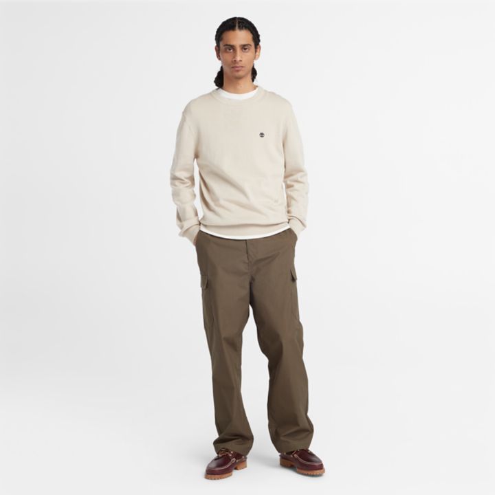 Williams River Crewneck Jumper for Men in Beige
