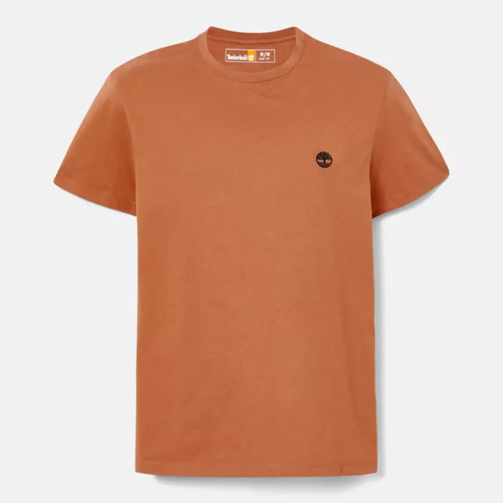Dunstan River Crewneck T-Shirt for Men in Brown