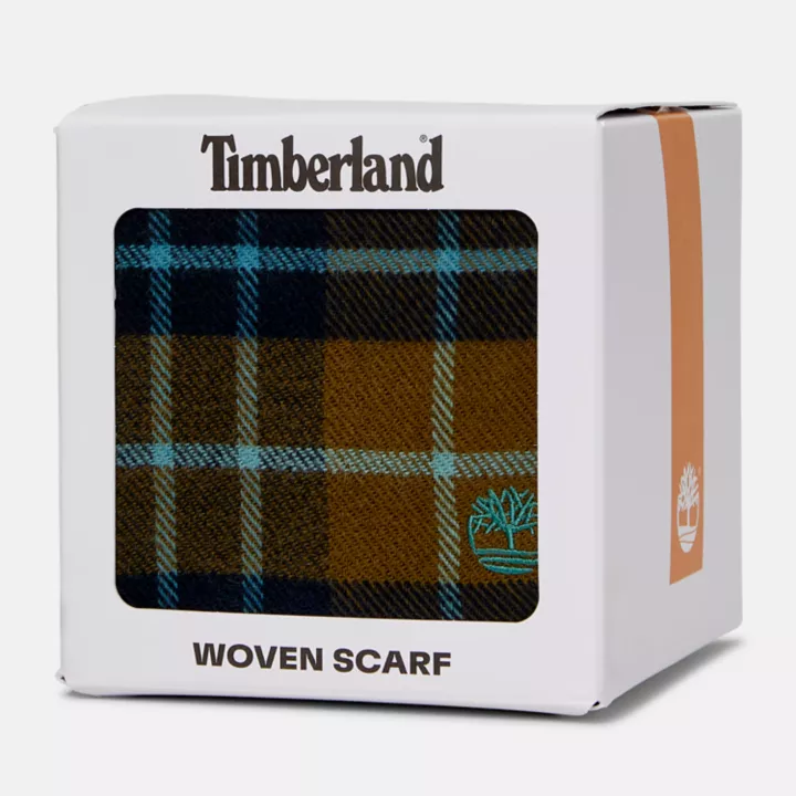Cape Neddick Check Scarf with Gift Box for Men in Green