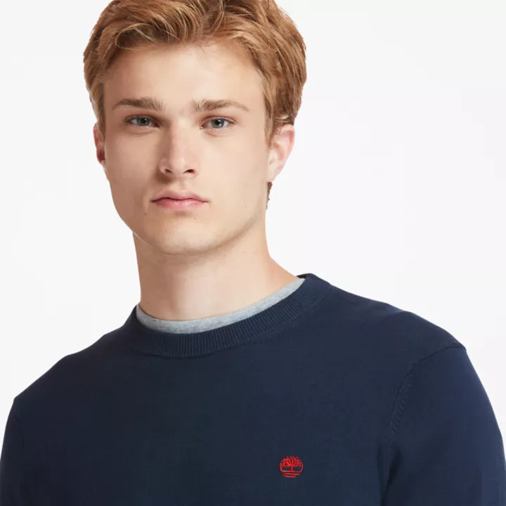 Williams River Crewneck Jumper for Men in Navy
