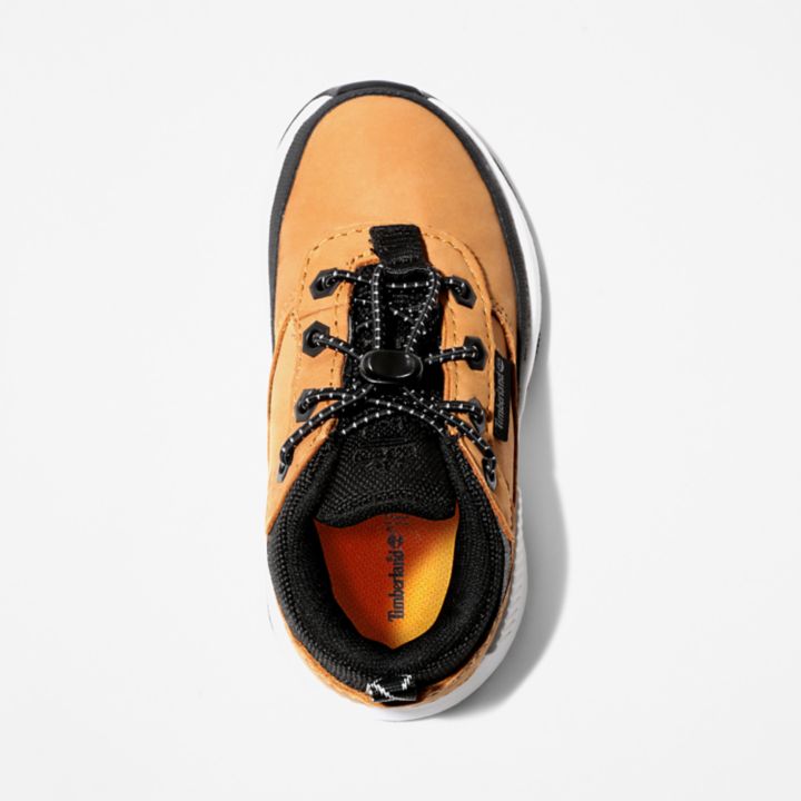 Field Trekker Hiking Shoe for Toddler in Yellow