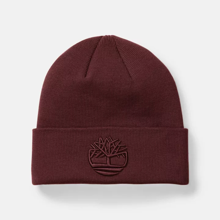 Tonal 3D Embroidery Beanie for Men in Burgundy