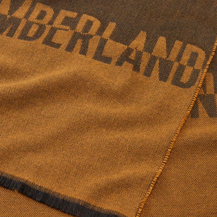 Split Colour Logo Scarf for Men in Brown