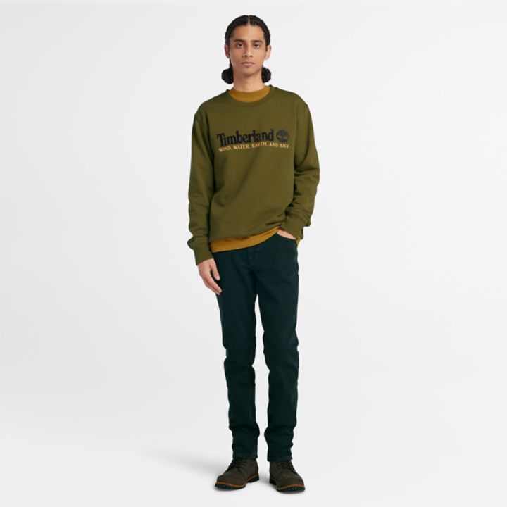 Wind, Water, Earth, and Sky Sweatshirt for Men in Green