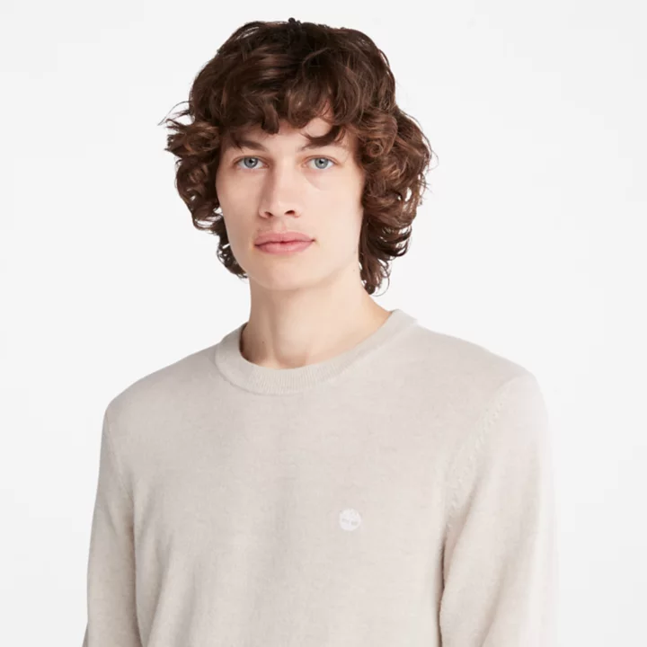 Cohas Brook Crewneck Jumper for Men in Grey