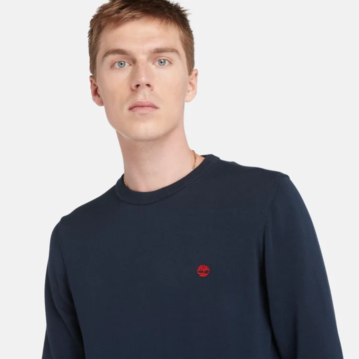 Williams River Crewneck Jumper for Men in Navy