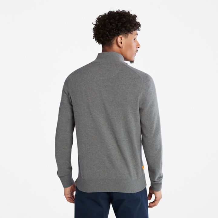 Williams River Full-zip Jumper for Men in Grey