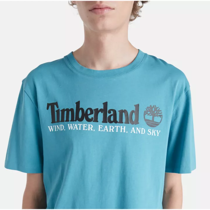 Wind, Water, Earth, and Sky T-Shirt for Men in Blue