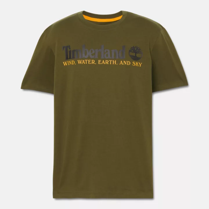 Wind, Water, Earth, and Sky T-Shirt for Men in Green