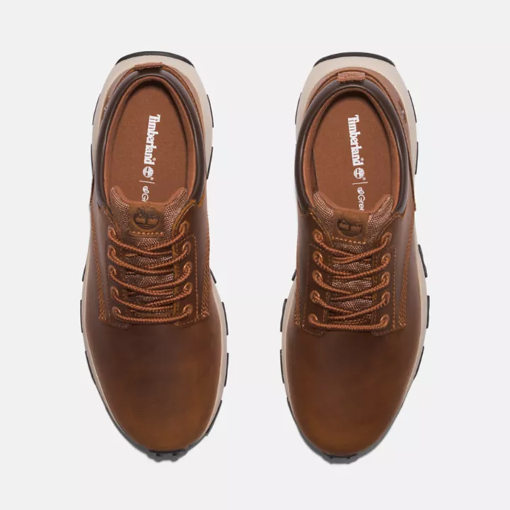 GreenStride Winsor Park Trainer for Men in Brown