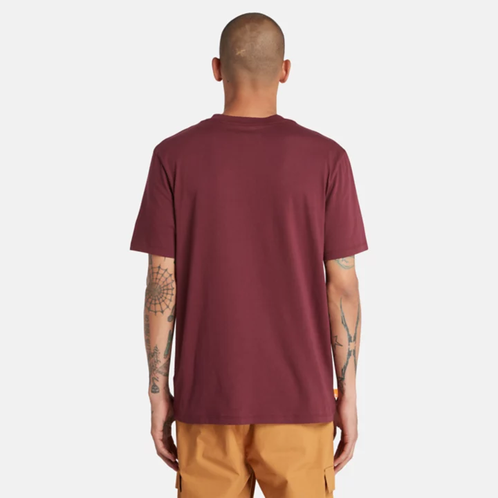 Wind, Water, Earth, and Sky T-Shirt for Men in Burgundy