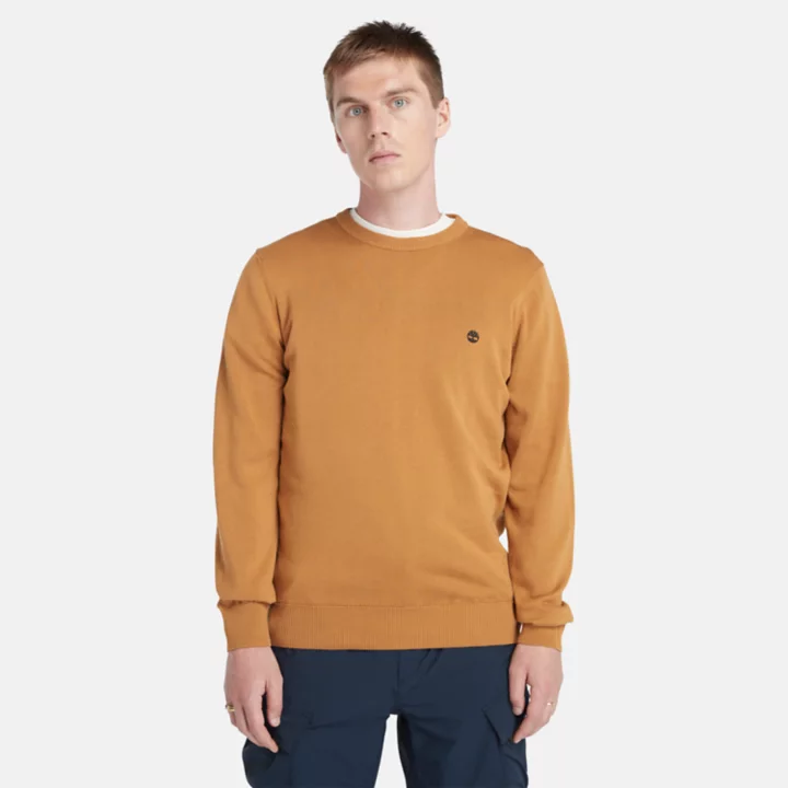 Williams River Crewneck Jumper for Men in Orange