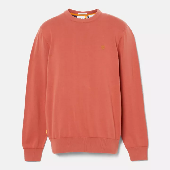 Williams River Crewneck Jumper for Men in Red
