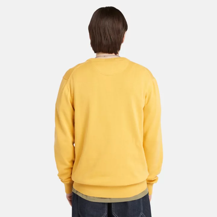 Williams River Crewneck Jumper for Men in Yellow