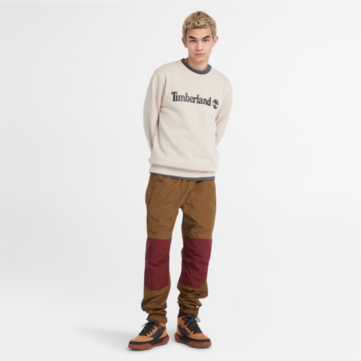 Wind, Water, Earth, and Sky Sweatshirt for Men in Beige