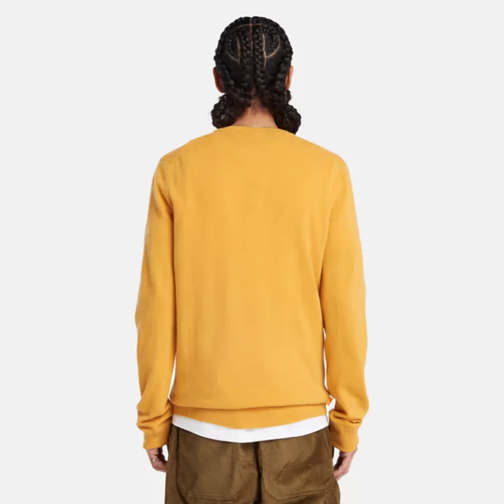 Cohas Brook Crewneck Jumper for Men in Yellow