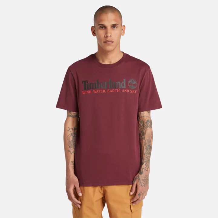 Wind, Water, Earth, and Sky T-Shirt for Men in Burgundy