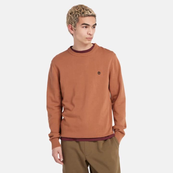 Williams River Crewneck Jumper for Men in Orange