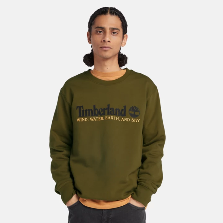Wind, Water, Earth, and Sky Sweatshirt for Men in Green