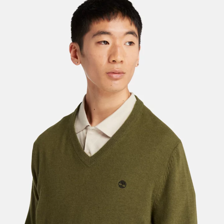 Cohas Brook V-Neck  Jumper for Men in Green