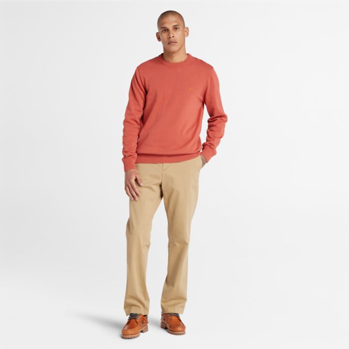 Williams River Crewneck Jumper for Men in Red