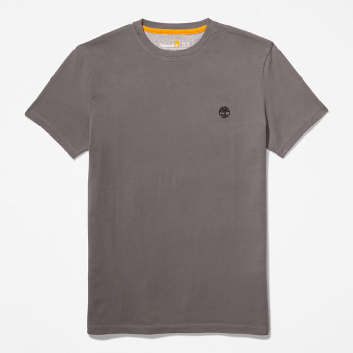 Dunstan River Crewneck T-Shirt for Men in Grey