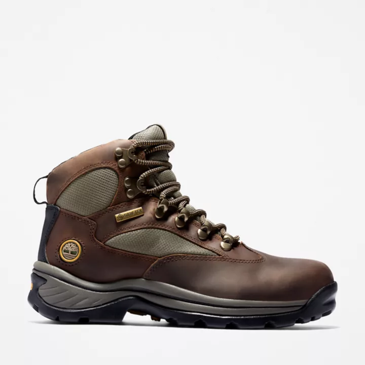 Chocorua Hiking Boot for Women in Brown