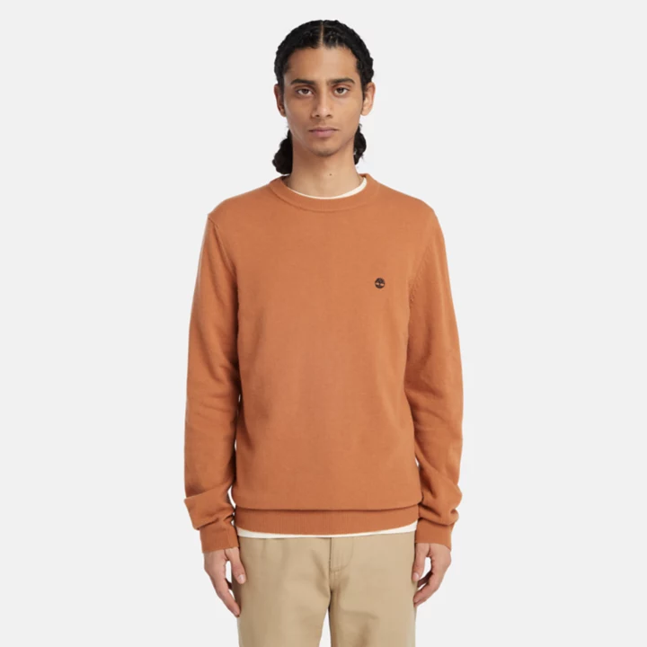 Cohas Brook Crewneck Jumper for Men in Brown