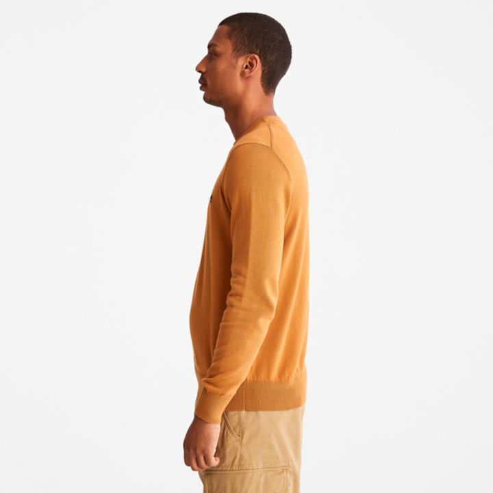 Williams River Crewneck Jumper for Men in Orange