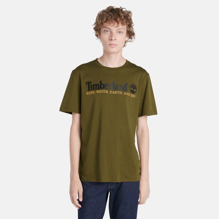 Wind, Water, Earth, and Sky T-Shirt for Men in Green