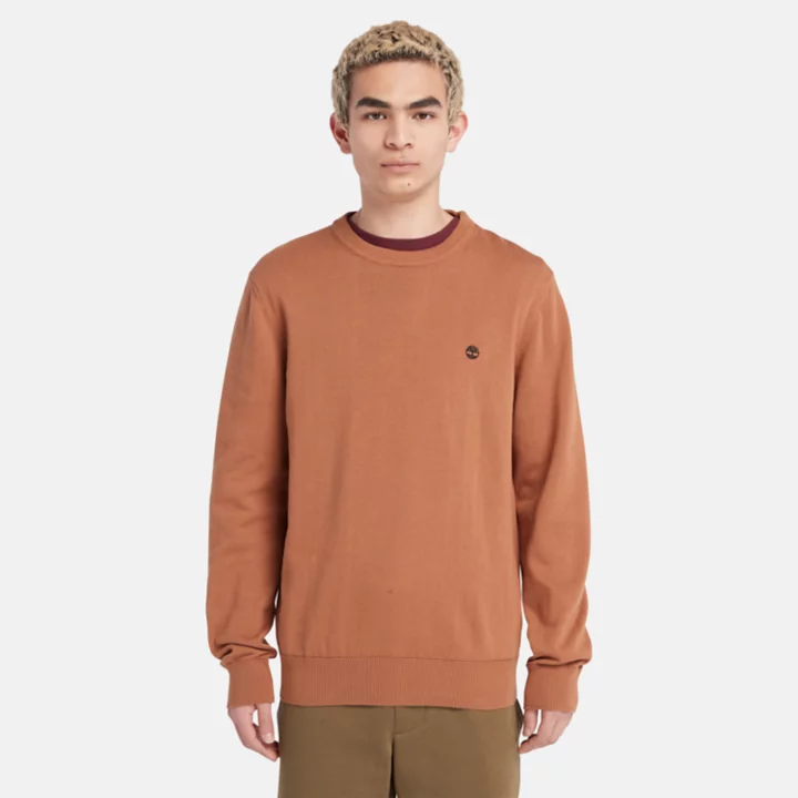 Williams River Crewneck Jumper for Men in Orange