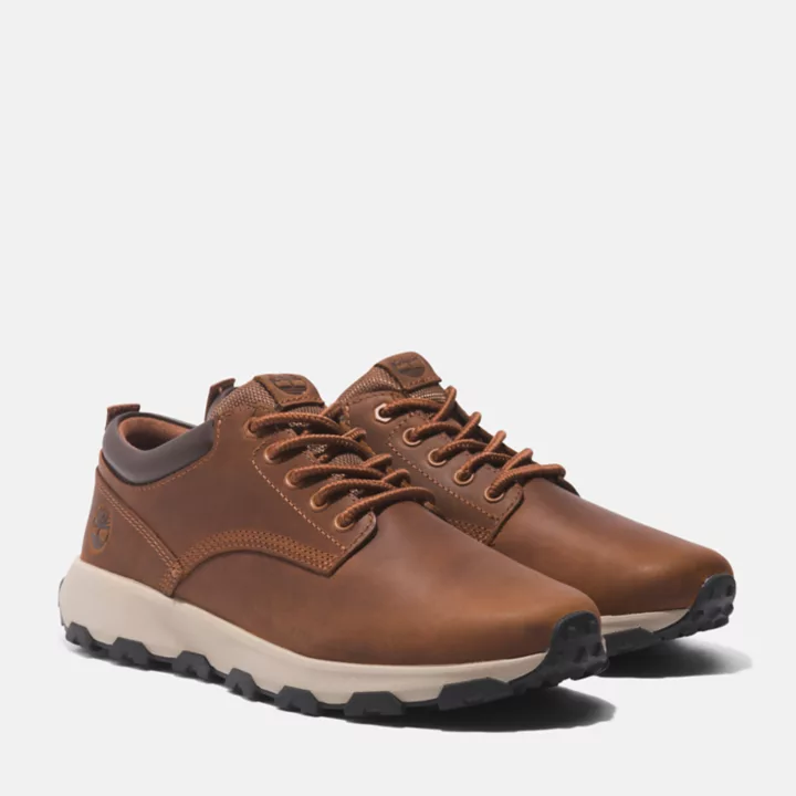 GreenStride Winsor Park Trainer for Men in Brown