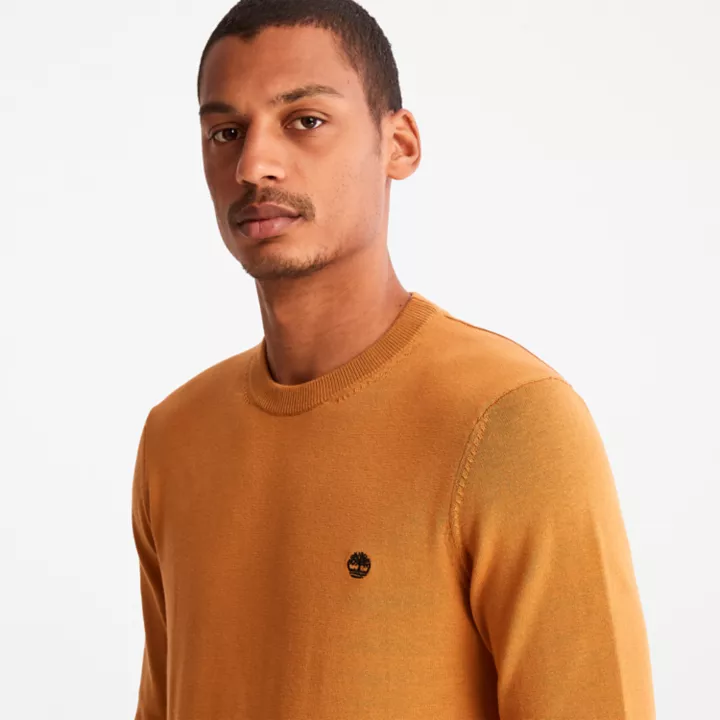 Williams River Crewneck Jumper for Men in Orange
