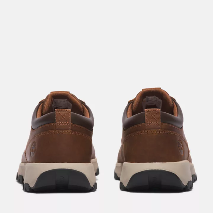 GreenStride Winsor Park Trainer for Men in Brown
