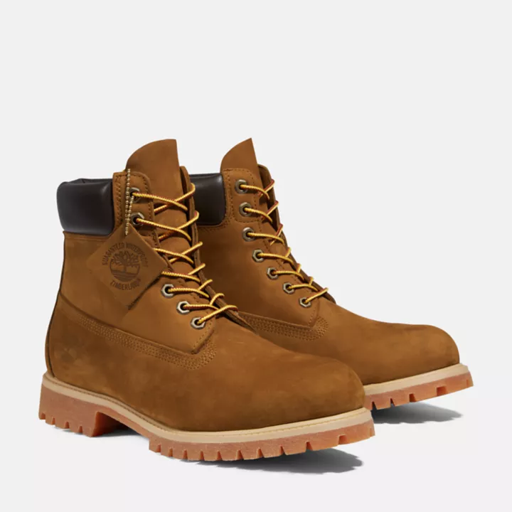 Timberland Premium 6 Inch Boot for Men in Brown