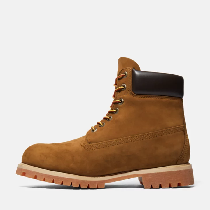 Timberland Premium 6 Inch Boot for Men in Brown