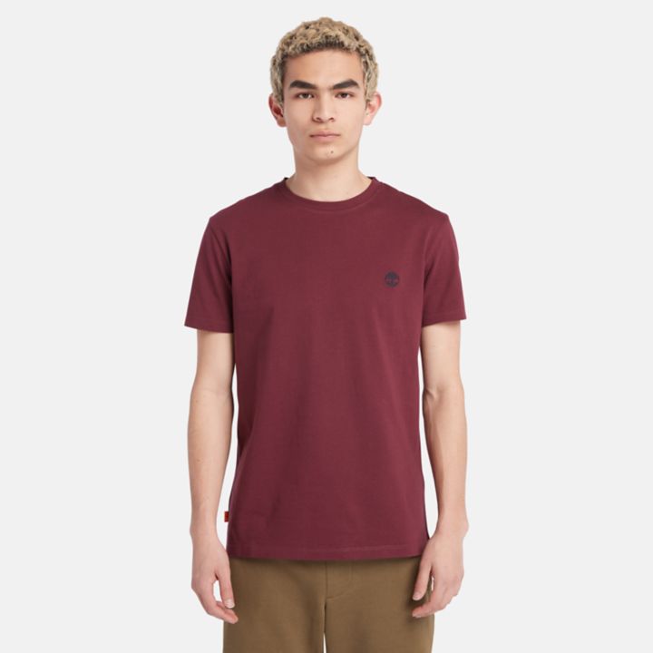 Dunstan River Crewneck T-Shirt for Men in Burgundy