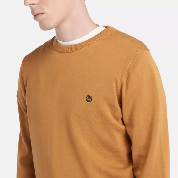 Williams River Crewneck Jumper for Men in Orange