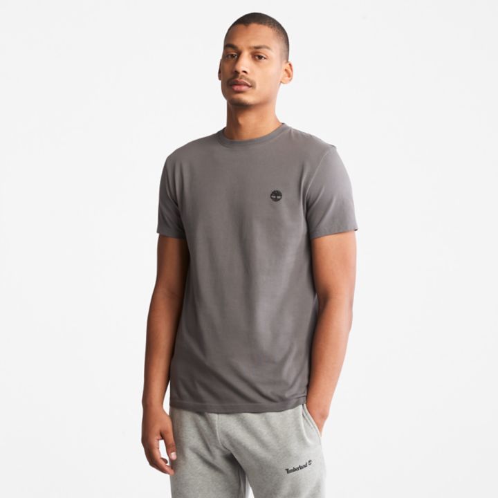 Dunstan River Crewneck T-Shirt for Men in Grey