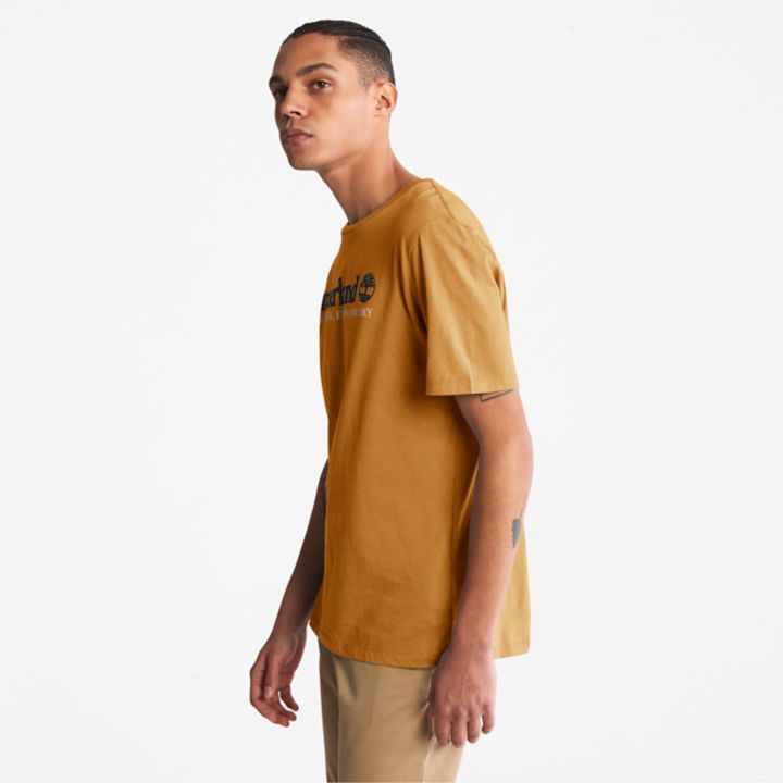 Wind, Water, Earth, and Sky T-Shirt for Men in Dark Yellow