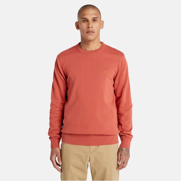 Williams River Crewneck Jumper for Men in Red