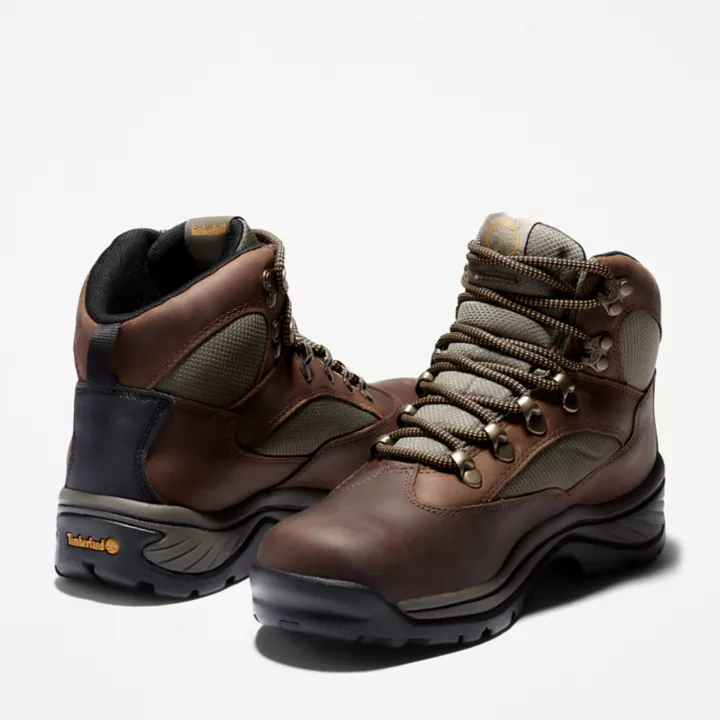 Chocorua Hiking Boot for Women in Brown