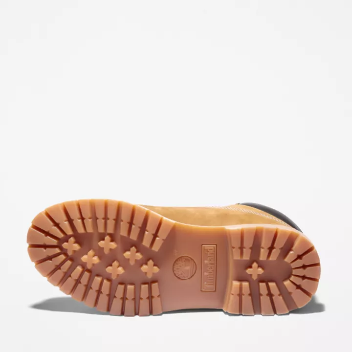 Timberland Premium 6 Inch Waterproof Boot for Women in Brown