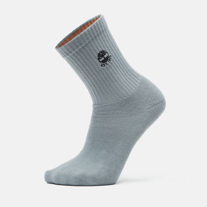 1Pk Colour Blast Crew Socks in Light Grey