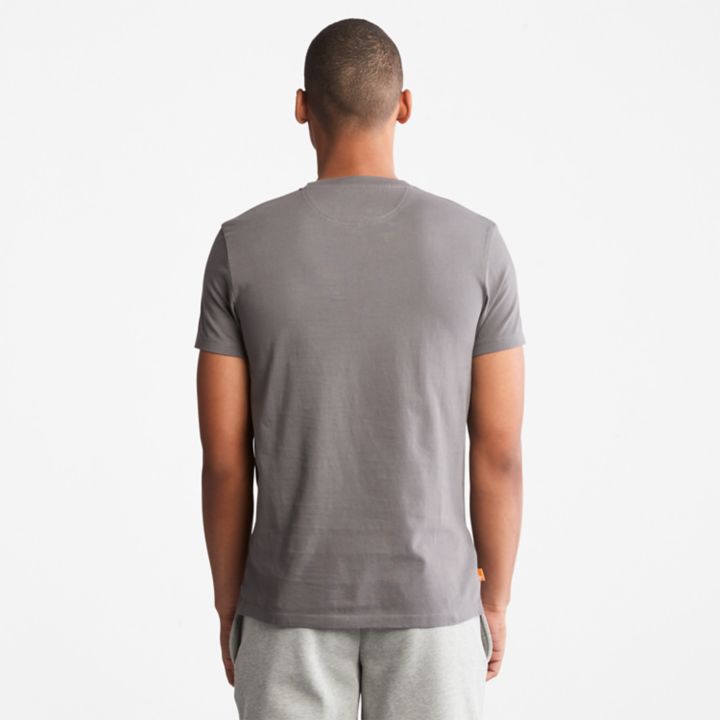Dunstan River Crewneck T-Shirt for Men in Grey
