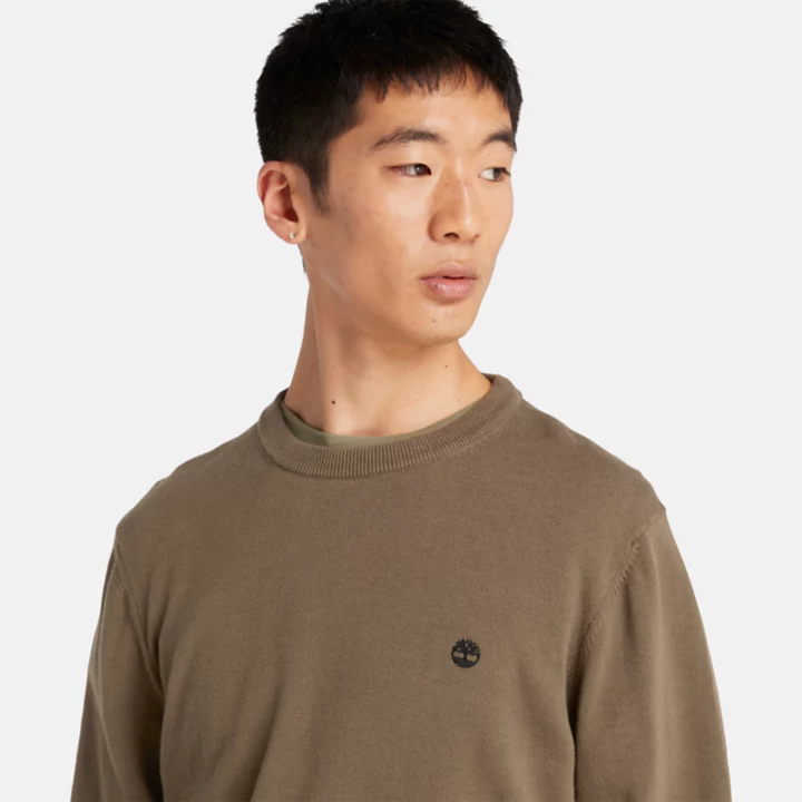 Williams River Crewneck Jumper for Men in Dark Green